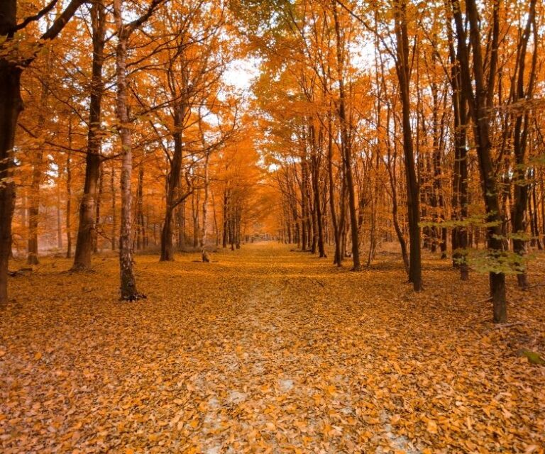38 Exciting October Story Writing Prompts #256-293