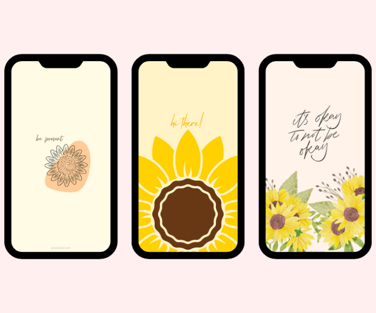 38 Sunflower iPhone Wallpapers to Download for Free