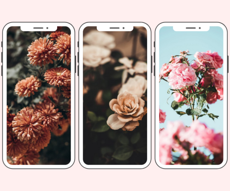 41 Free iPhone Vintage Flower Wallpaper to Use