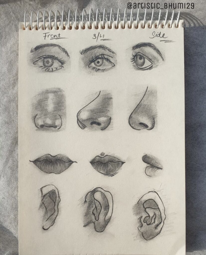 15 Best Nose Sketch Drawing Tutorials for Inspiration - atinydreamer