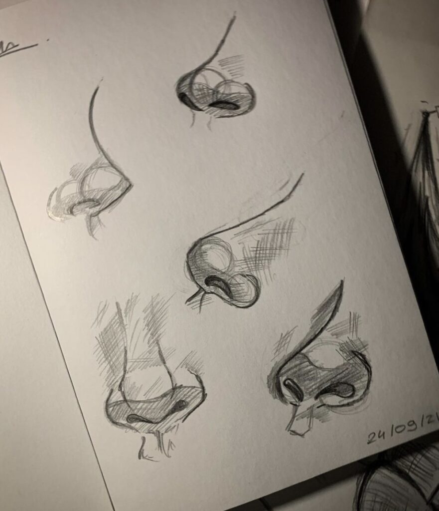 nose drawings13