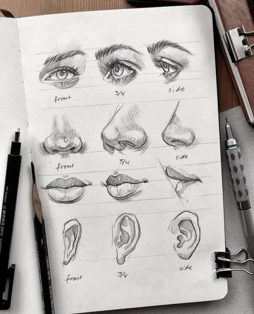 How To Draw A Realistic Nose in 4 Simple Steps - Udemy Blog