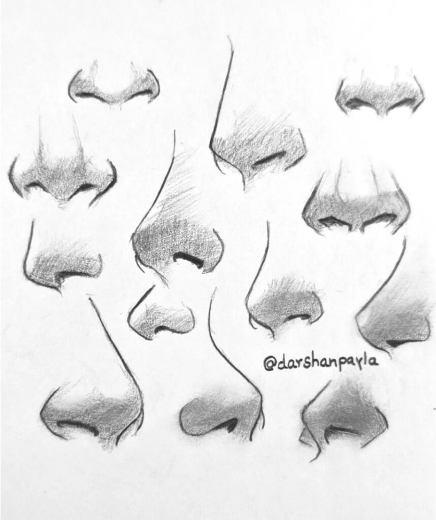 nose drawings8