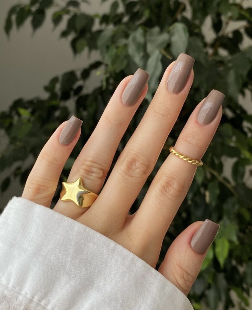 Embrace Autumn with Stunning Nail Art Ideas : Matte Brown Nails with Gold  Accent