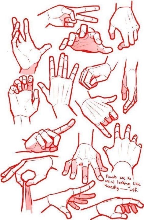 Anatomical Art Print Hand with the Muscles system - Hoogkamp Fine Art Prints