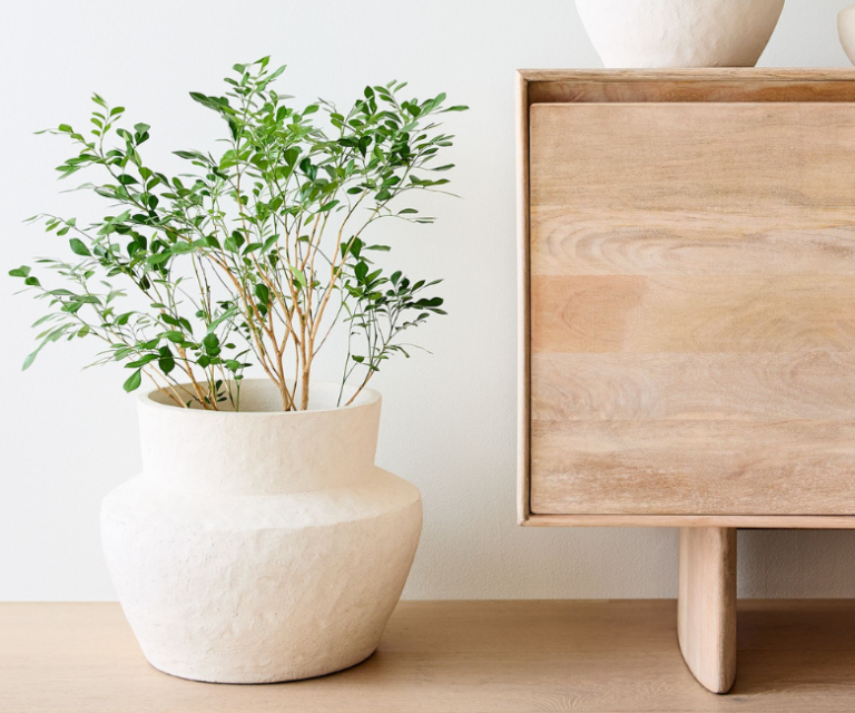 42 Large Indoor Planters to House Your Plants