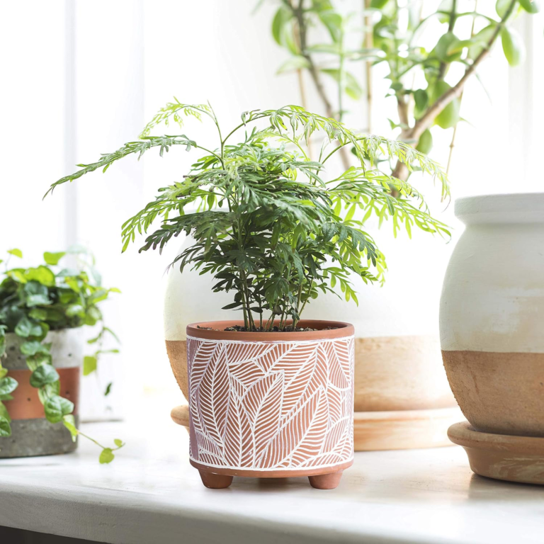 12 Best Greenery Decor Ideas for a Fresh Home Look